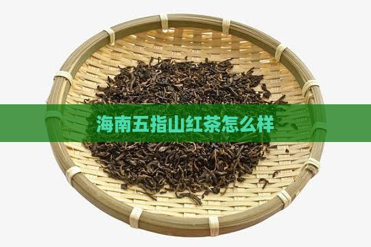 海南五指山红茶怎么样