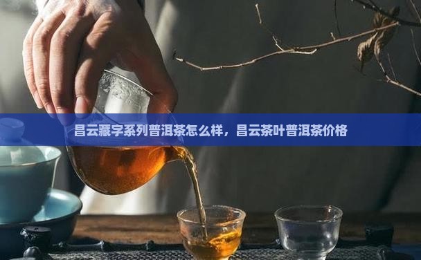 昌云藏字系列普洱茶
