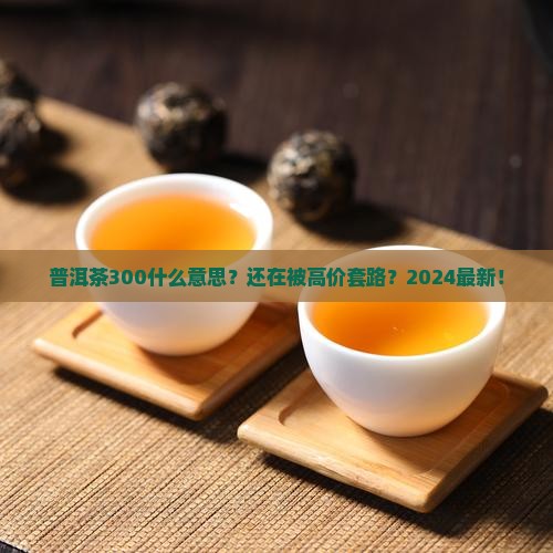 普洱茶300什么意思