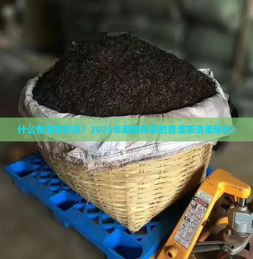 什么普洱茶好卖