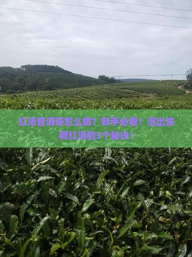 红汤普洱茶的做法
