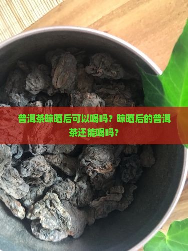 普洱茶晾晒后可以喝吗