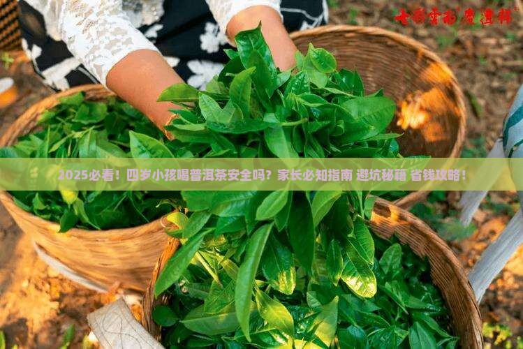 四岁小孩可以喝普洱茶吗