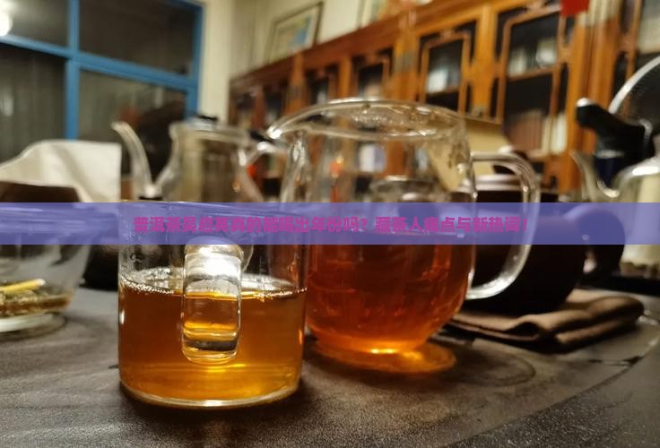 普洱茶大师吴启英