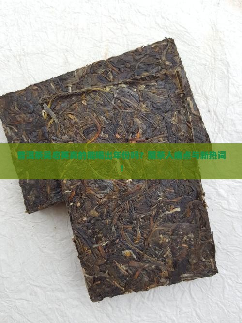 普洱茶大师吴启英