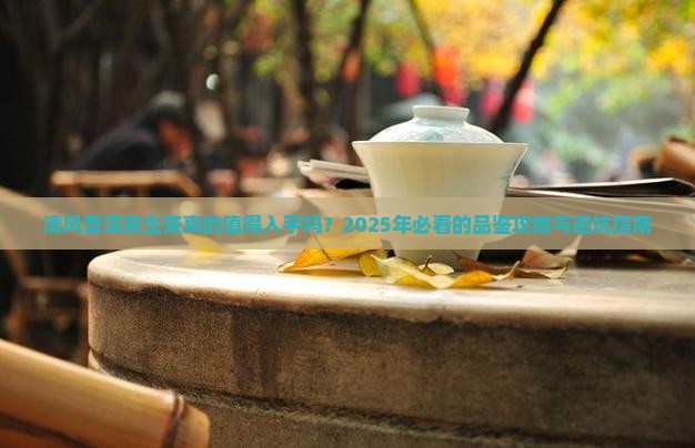 清风普洱茶生茶