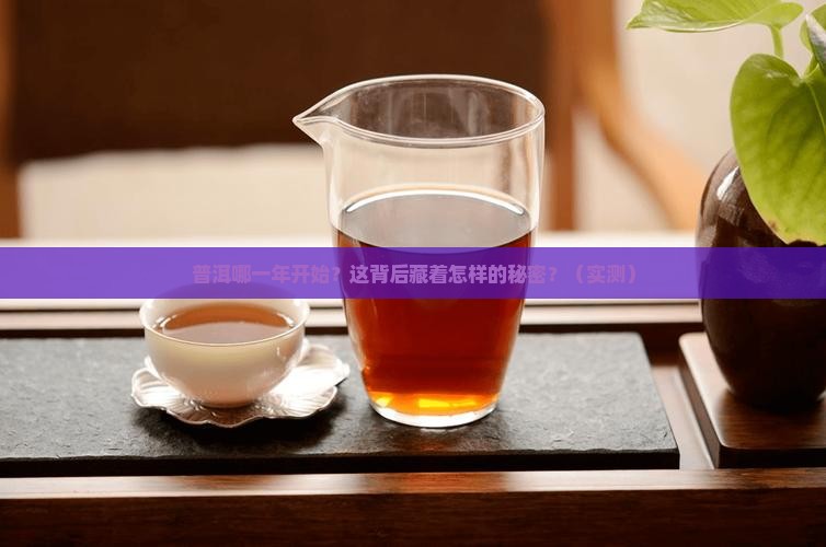 普洱哪一年开始