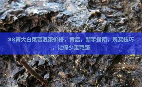 88青大白菜普洱茶价格