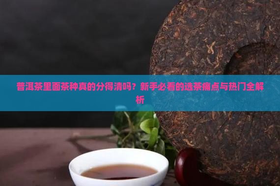 普洱茶里面茶种