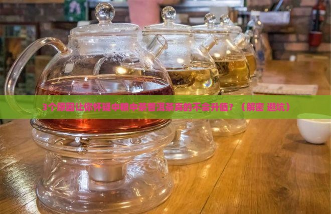 中粮中茶普洱茶不会升值吗