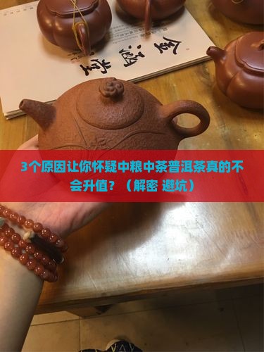 中粮中茶普洱茶不会升值吗