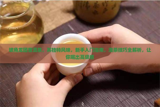 坡角龙团普洱茶
