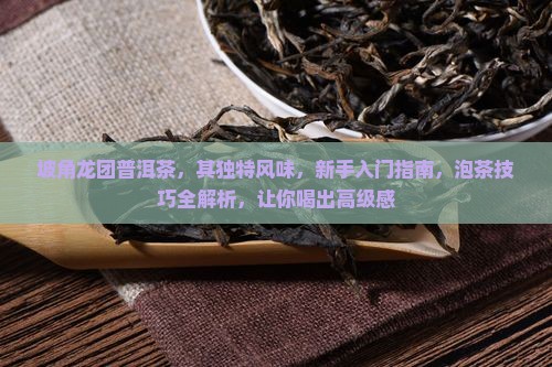 坡角龙团普洱茶
