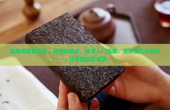 坡角龙团普洱茶