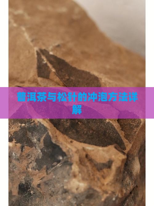 普洱茶绿茶松针怎么泡