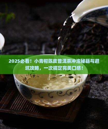 小青柑陈皮普洱茶怎么冲泡