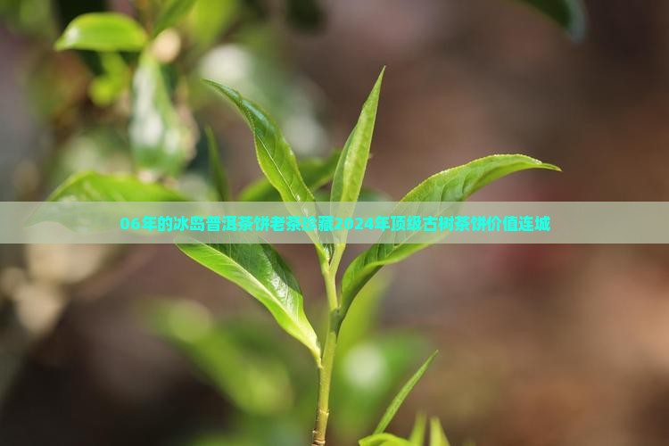 06年的冰岛普洱茶饼