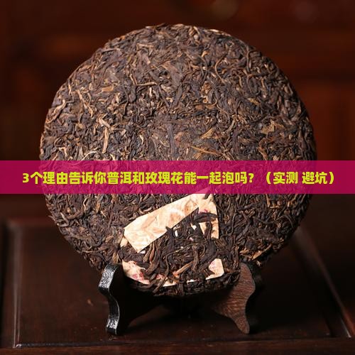 普洱和玫瑰花能一起泡吗