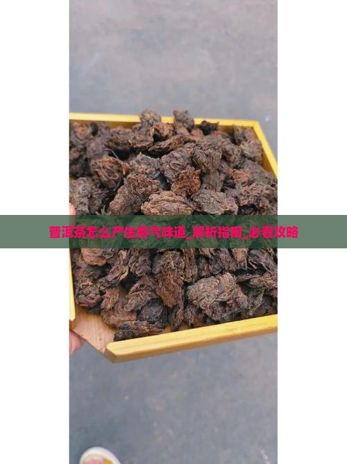 普洱茶怎么产生香气味道 普洱茶怎么产生香气味道