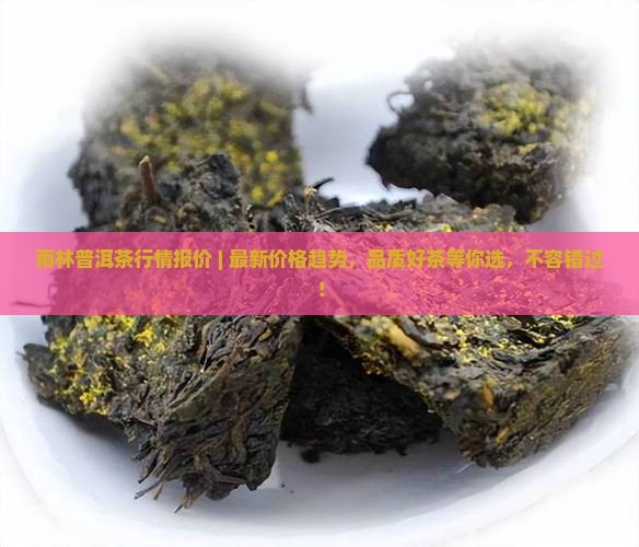雨林普洱茶行情报价
