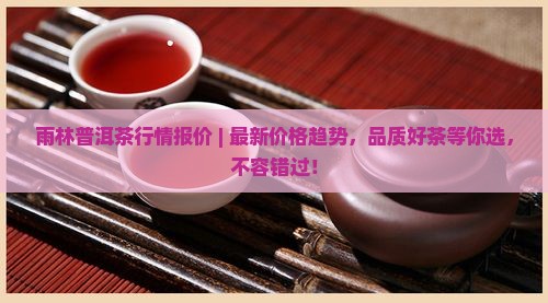 雨林普洱茶行情报价