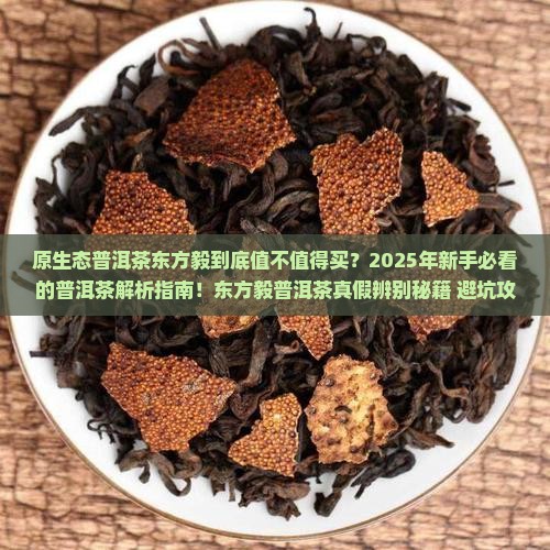 原生态普洱茶东方毅