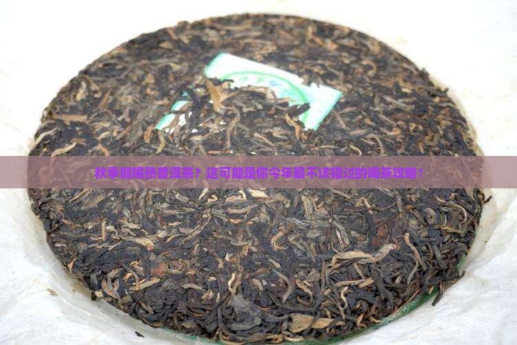 秋季能喝熟普洱茶