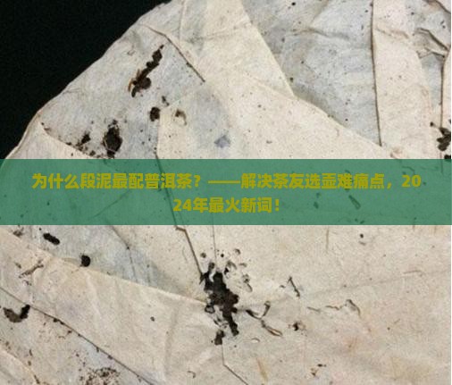 为什么段泥最配普洱茶