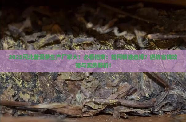 河北普洱茶生产厂家有哪些