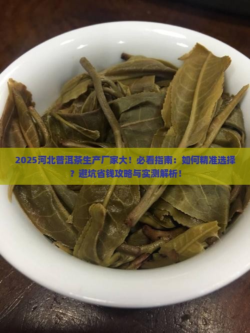 河北普洱茶生产厂家有哪些
