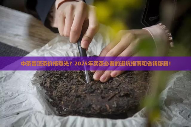 中茶普洱茶茶官网价格