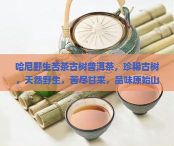 哈尼野生苦茶古树普洱茶