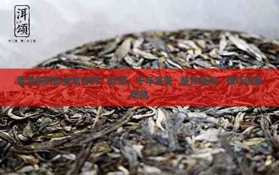 普洱茶的历史怎样的