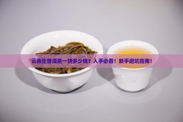 云南生普洱茶一饼多少钱