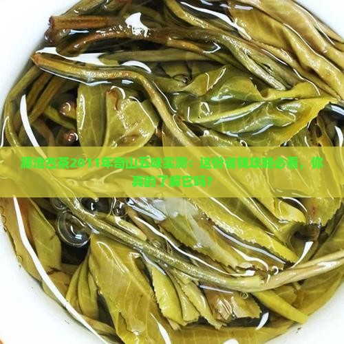 澜沧古茶2011年奇山五味
