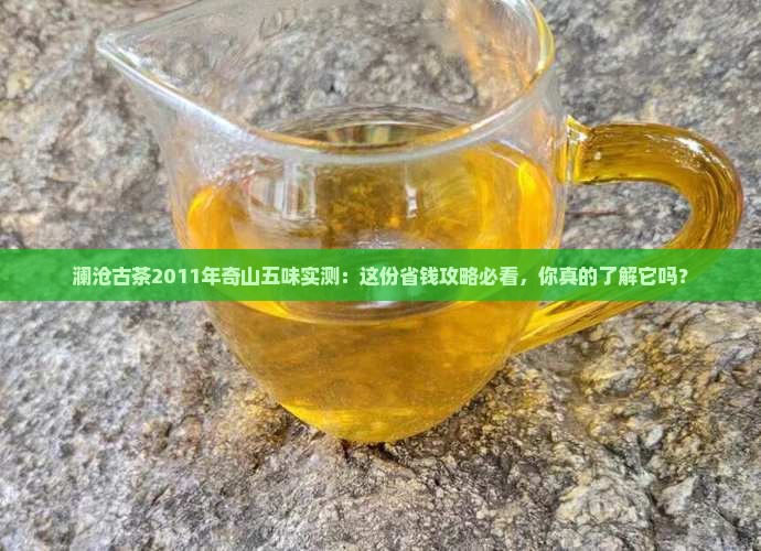 澜沧古茶2011年奇山五味