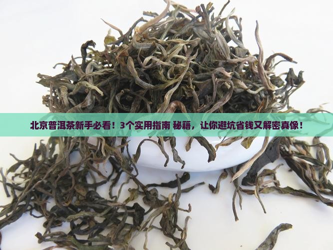 北京普洱茶知识