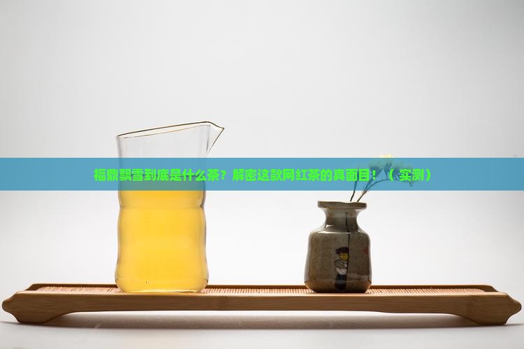 福鼎飘雪是什么茶