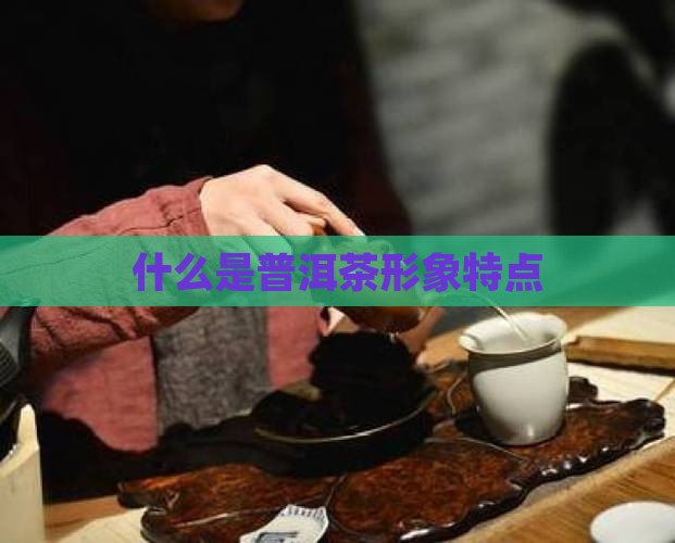 什么是普洱茶品牌形象特点