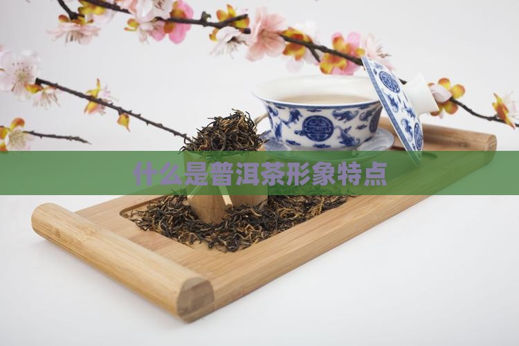 什么是普洱茶品牌形象特点