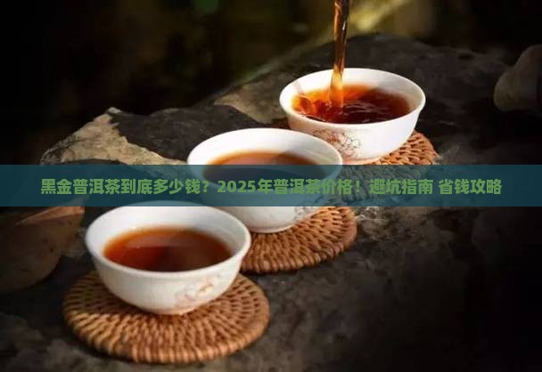 黑茶普洱茶黑金普洱茶的价格