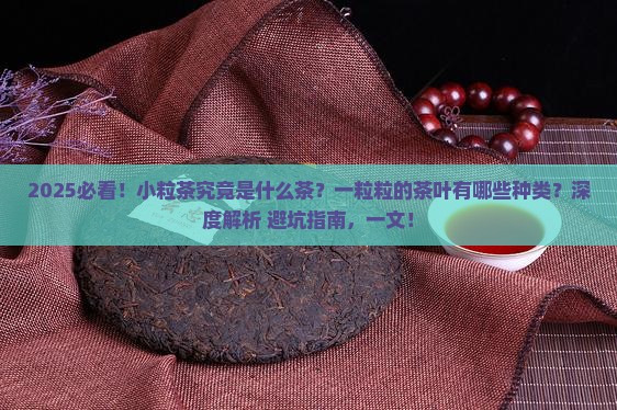 小粒茶是什么茶什么茶是一粒粒的