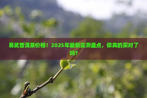 易武普洱茶价格查询表官方