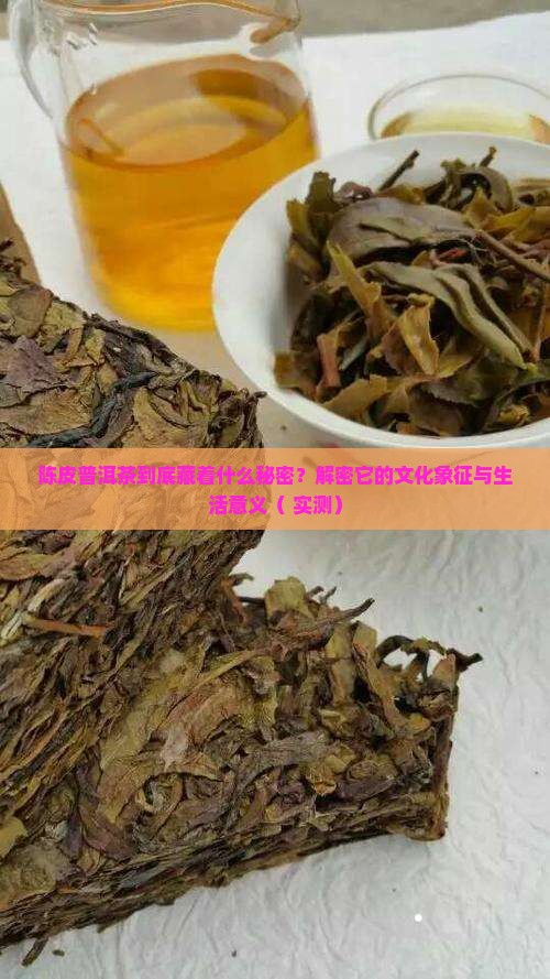 陈皮普洱茶象征什么