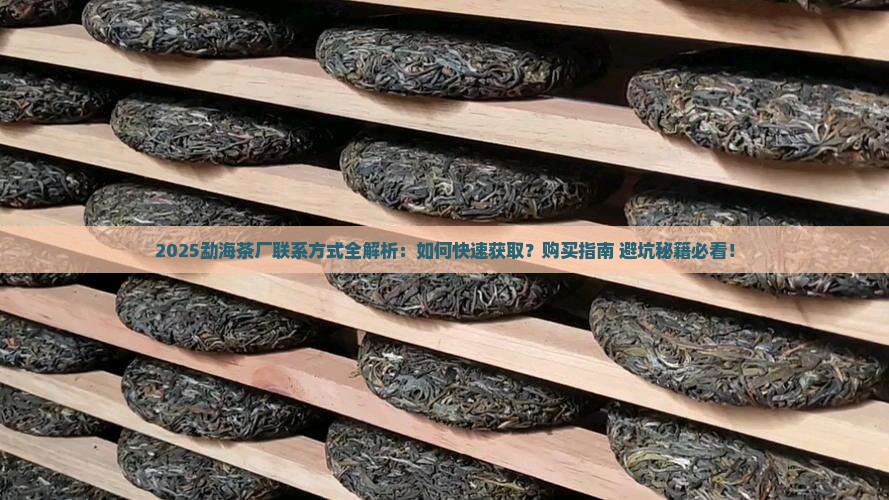 勐海茶厂联系方式