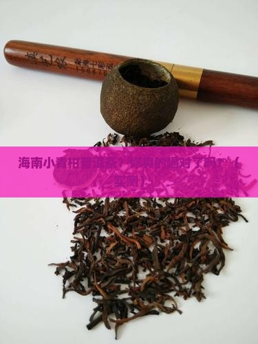 海南小青柑普洱茶