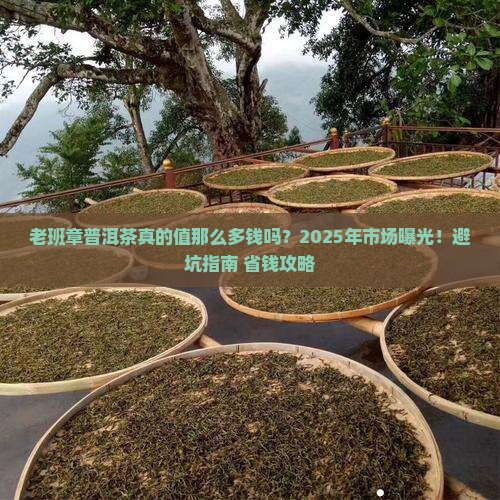 普洱茶市场价格老班章