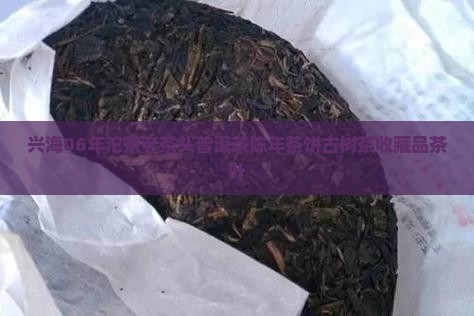 兴海06年沱茶