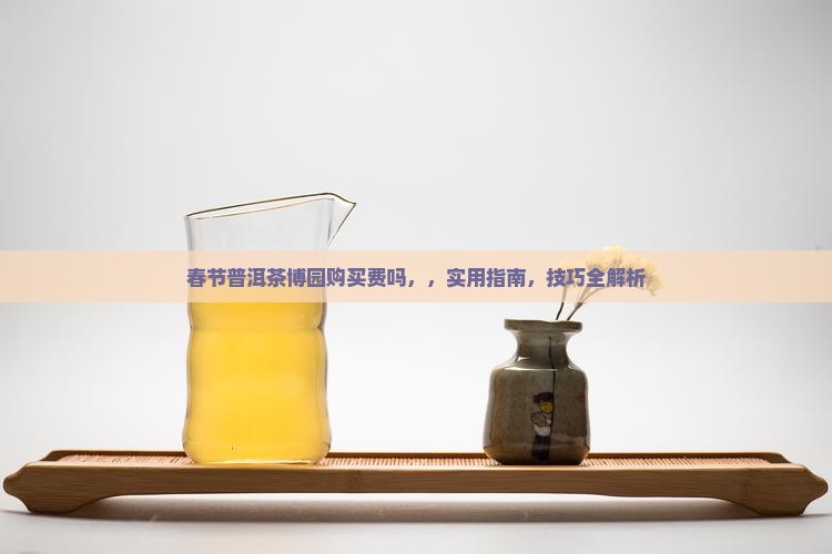 春节普洱茶博园购买费吗