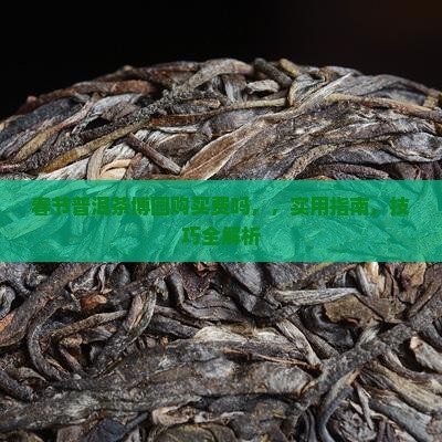 春节普洱茶博园购买费吗